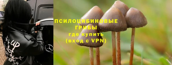 альфа пвп Горно-Алтайск