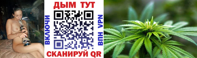 Шишки марихуана ГИДРОПОН  Енисейск 